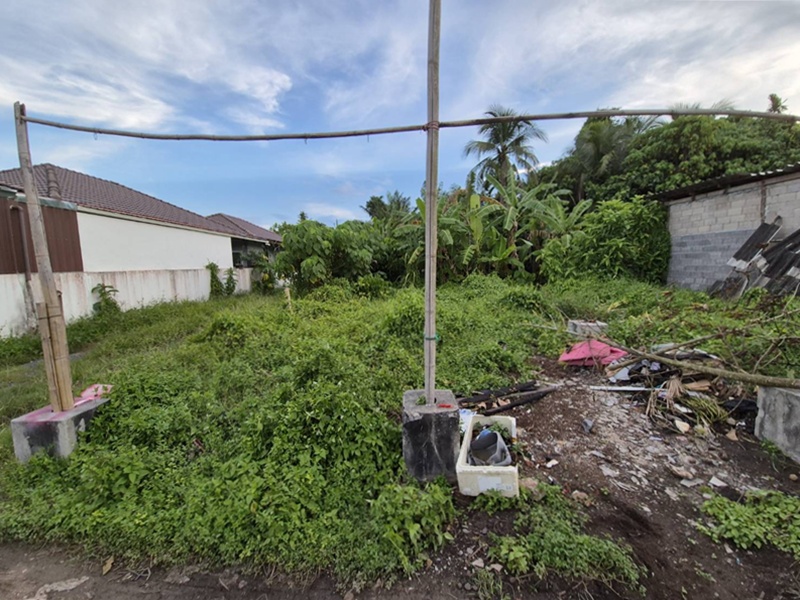 ที่ดินพร้อมสิ่งปลูกสร้าง บ้านพักอาศัยชั้นเดียว -